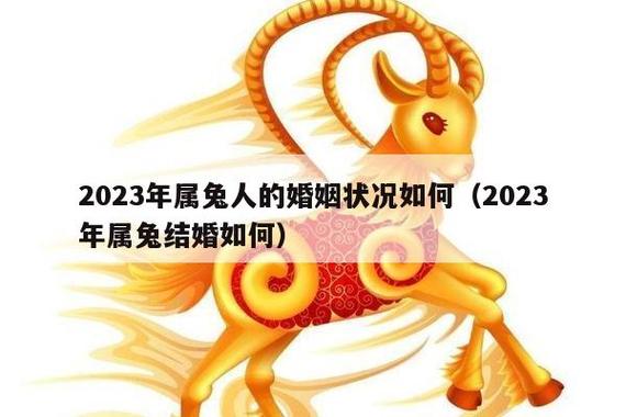 2023年9月属兔的姻缘如何