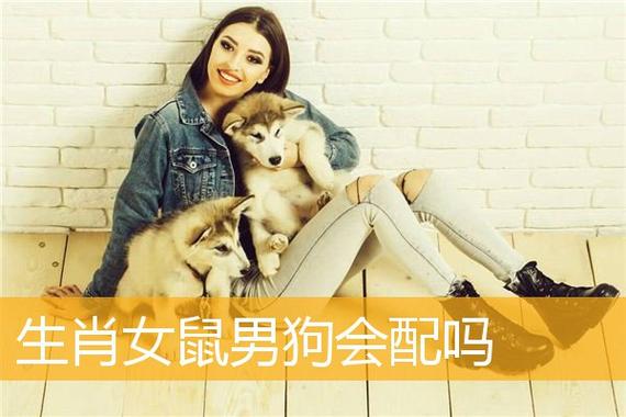 内向男与开朗女的生肖配对好不好呢