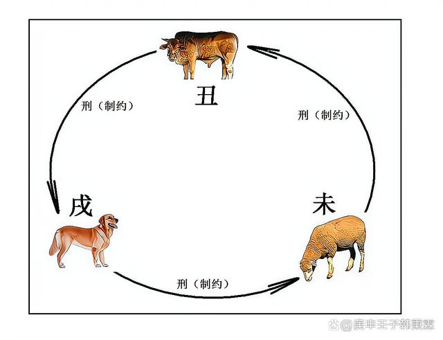 羊和狗为什么会是三刑