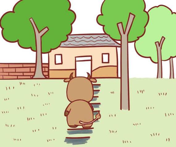 生肖属牛的人适合住几楼?