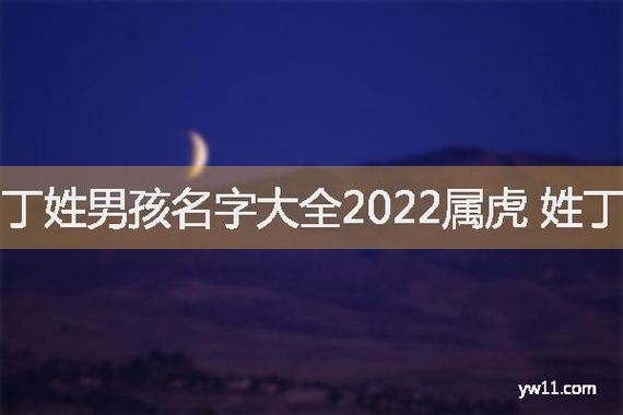 带丁字的男孩名字大全