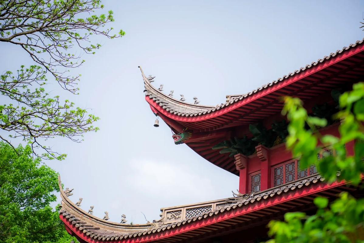 家运很好 家运不太顺利