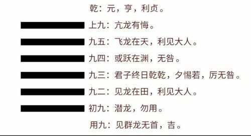 乾卦的爻辞是什么意思?
