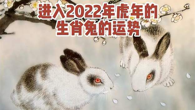 属兔2017下半年的运势如何