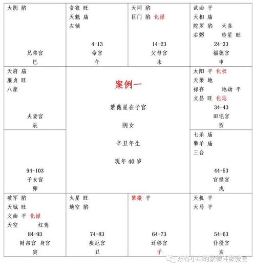 紫微斗数看最旺夫的三类女生