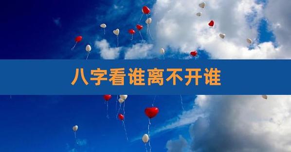 八字看追人还是被追