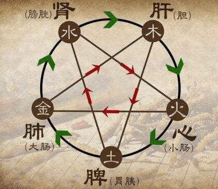 己卯年出生人的命运详解