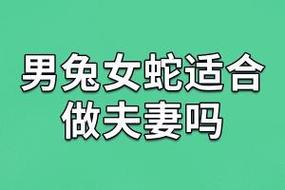女蛇男兔是几等婚姻?