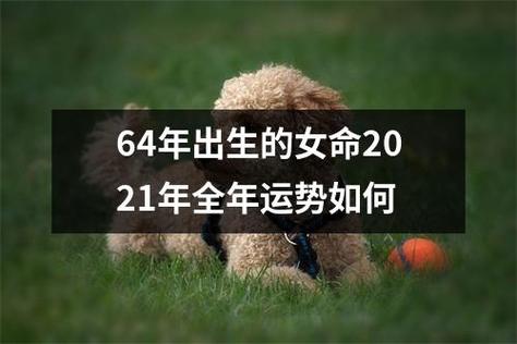 08年出生的女2021年全年运势上升