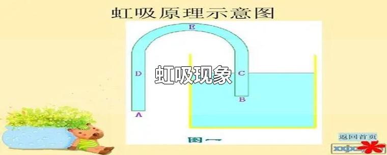 经济学中的虹吸效应是指