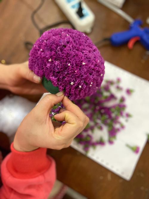 勿忘我干花放家里哪里好