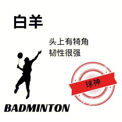 星座中哪个星座最适合打篮球