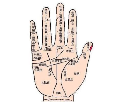 天生劳碌命手相特点分析