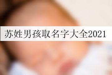 苏子什么好听男孩名字