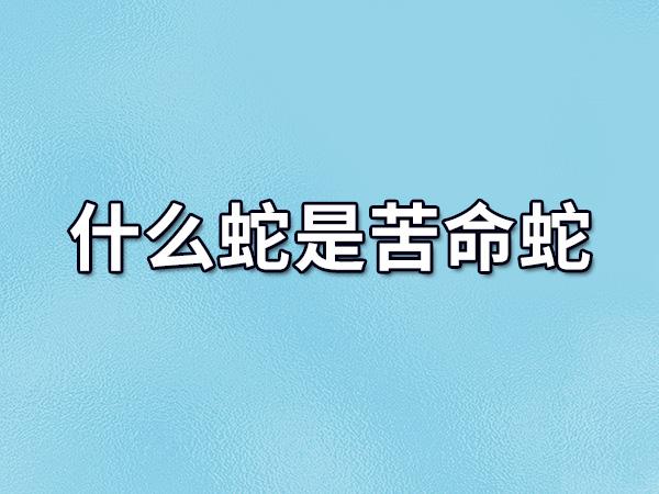 冬天的蛇一辈子苦命吗