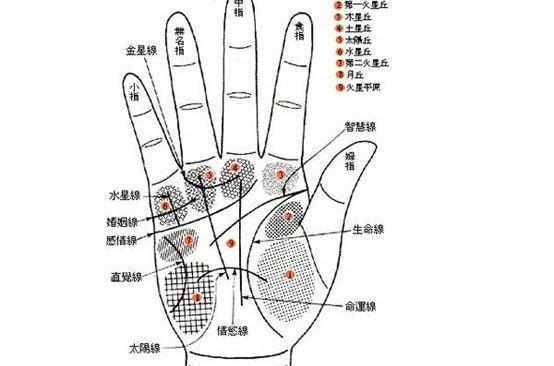 手上有这些特征