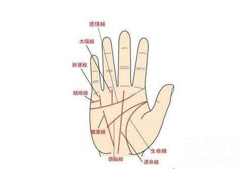 掌纹几乎看不到的人有什么手相说法