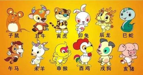 在一起很舒服的生肖人士大全