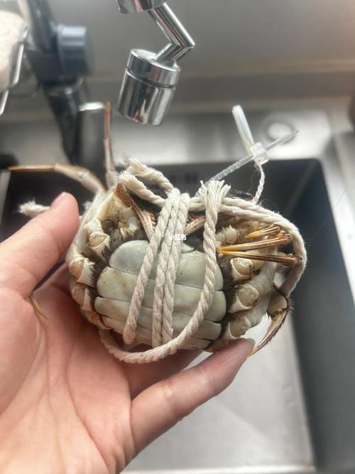 梦见螃蟹死了
