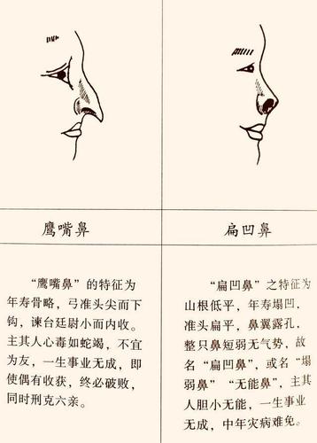 什么是露脊鼻 露脊鼻面相的人命运解析