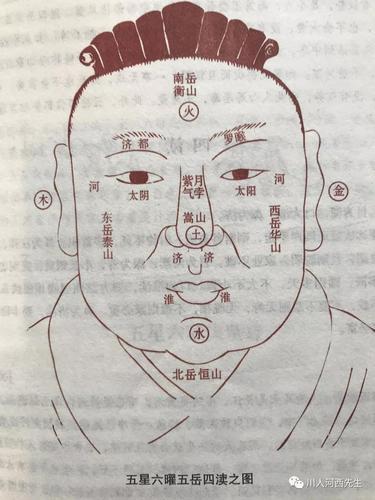 对读书非常感兴趣的面相