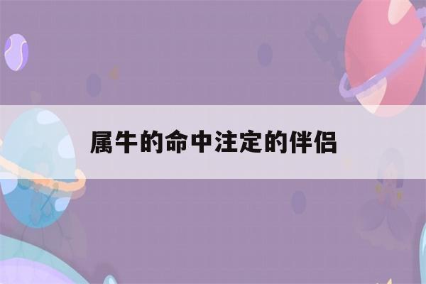 茫茫人海 属牛如何找到命中注定伴侣