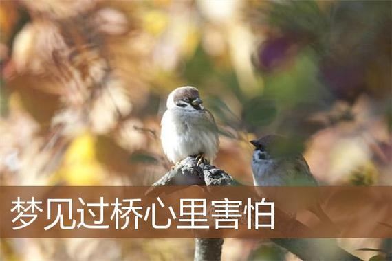梦见过桥很害怕,可能感到孤独