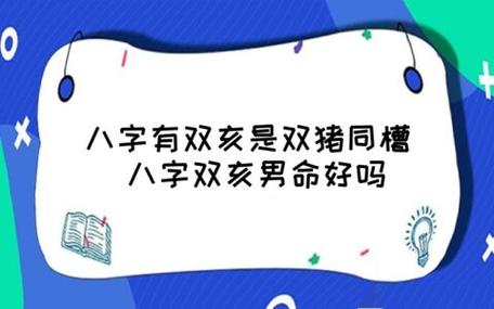 双猪同槽是什么意思,双猪同槽命运好不好