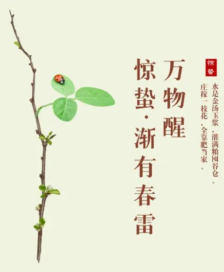 老人在惊蛰节气去世有什么说法?家中老人去世有什么禁忌?