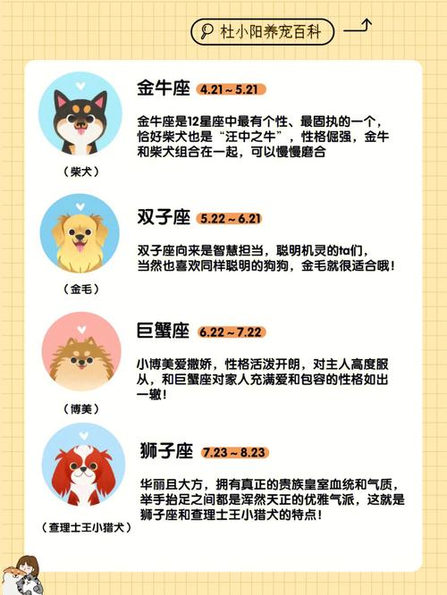 12星座的专属宠物