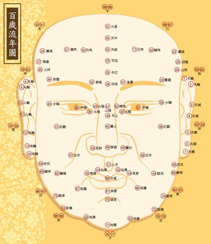 图解:面相十三部位之天中