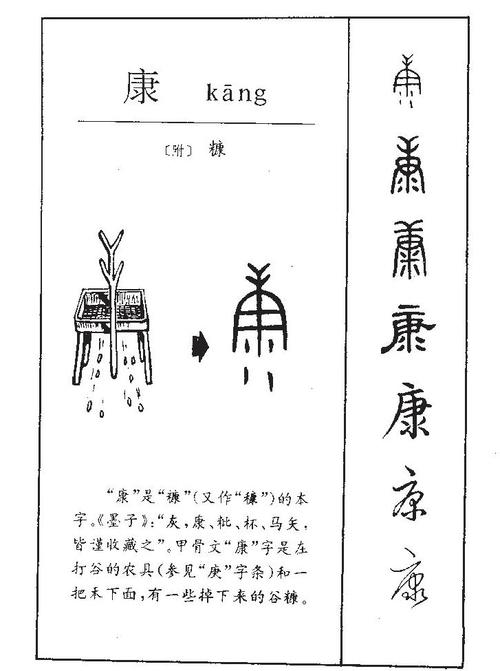 康字取名寓意好吗