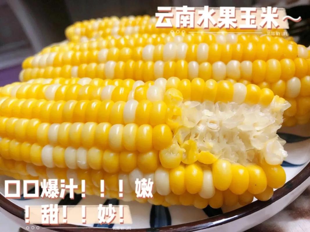 梦到吃玉米 梦到嗮玉米