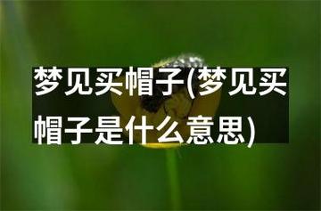 梦见透明帽子 周公解梦之梦到透明帽子