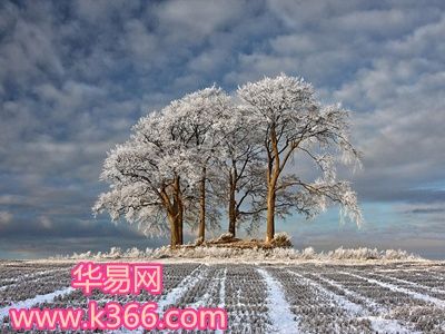 梦见霜是什么意思