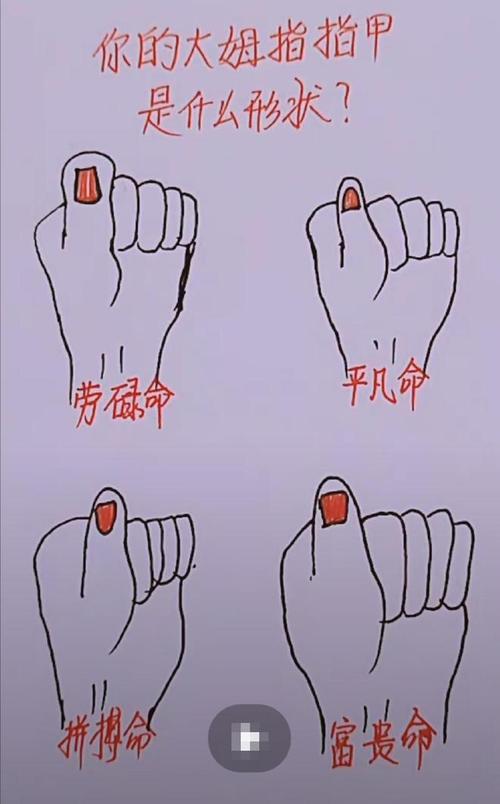 怎么从大拇指了解自己的命运