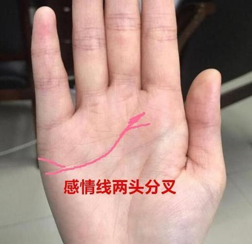 手相感情线断开、断裂、断掌的感情婚分析