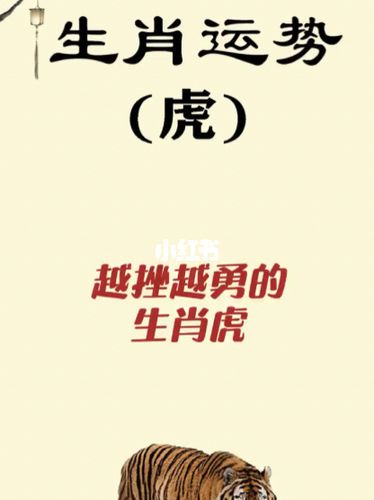 在感情中越挫越勇的生肖