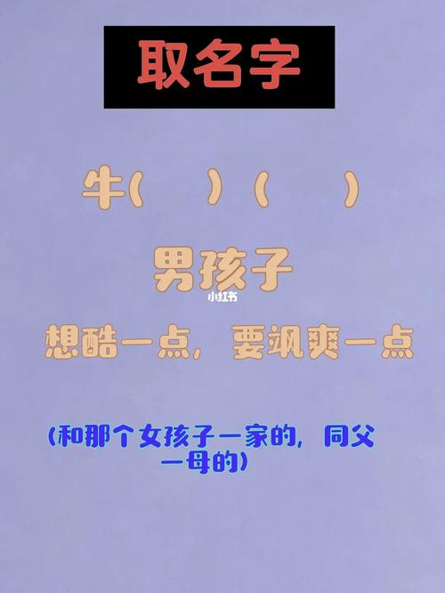 邻居都羡慕的男孩名字