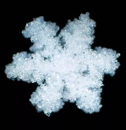 梦见大片大片的雪花落下