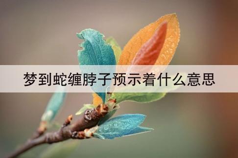 梦见蛇绕脖子是什么意思