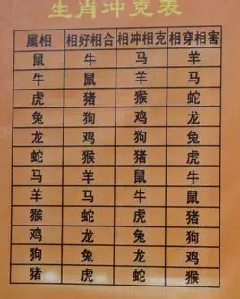 最佳拍档的生肖们