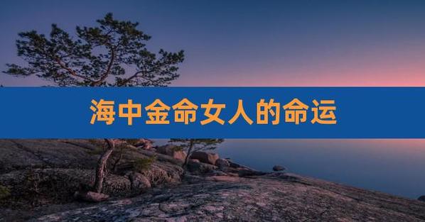 海中金命的女人适合做什么行业