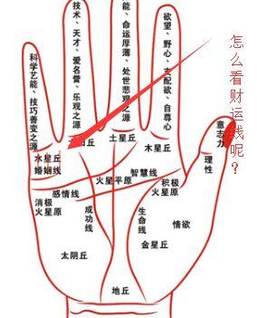 财运线形状看你的财运好不好