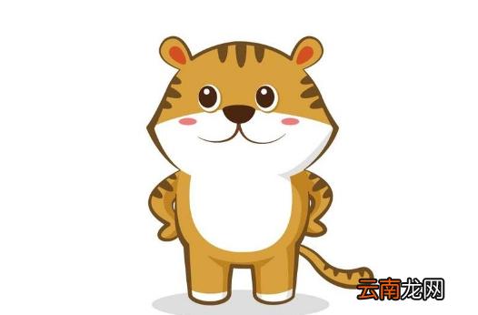 属虎本命年生个虎宝宝好不好