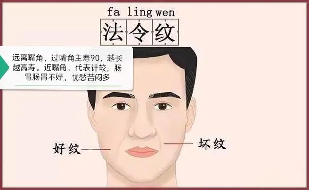 男人法令纹面相代表什么运势