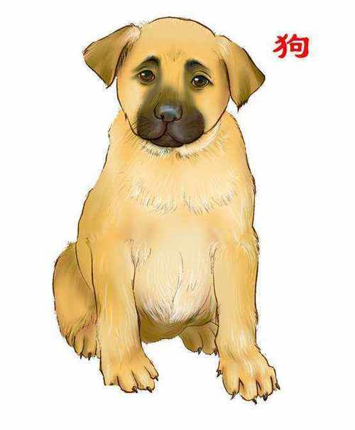狗后面是什么生肖