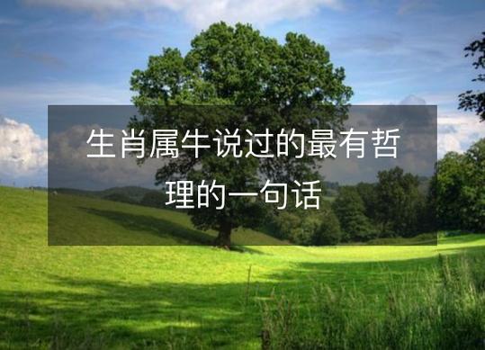 属牛说过的最有哲理的一句话