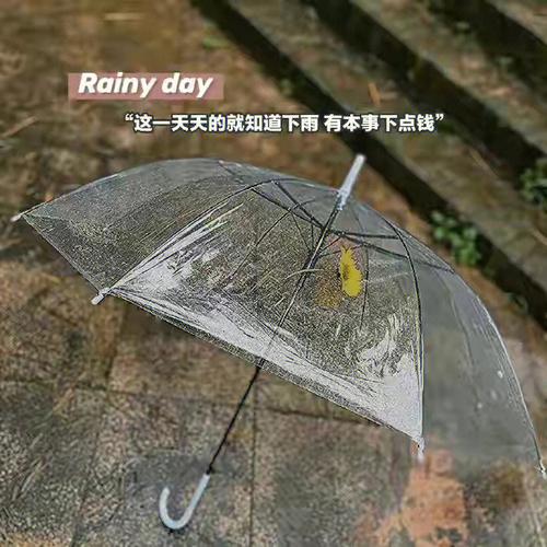 梦见雨停了是什么意思