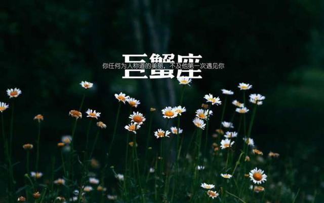 步步为营的星座,看似沉默寡言,实则想法多谋略深,每一步都准确!
